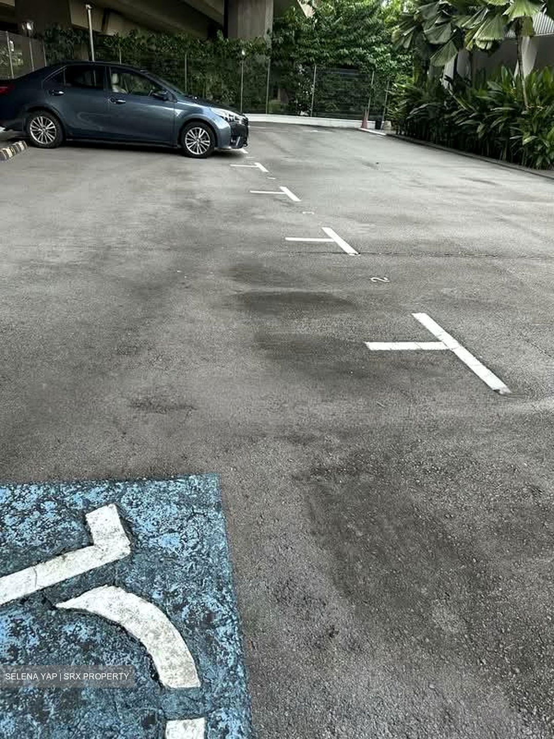 Balestier Road (D12), Office #587777041